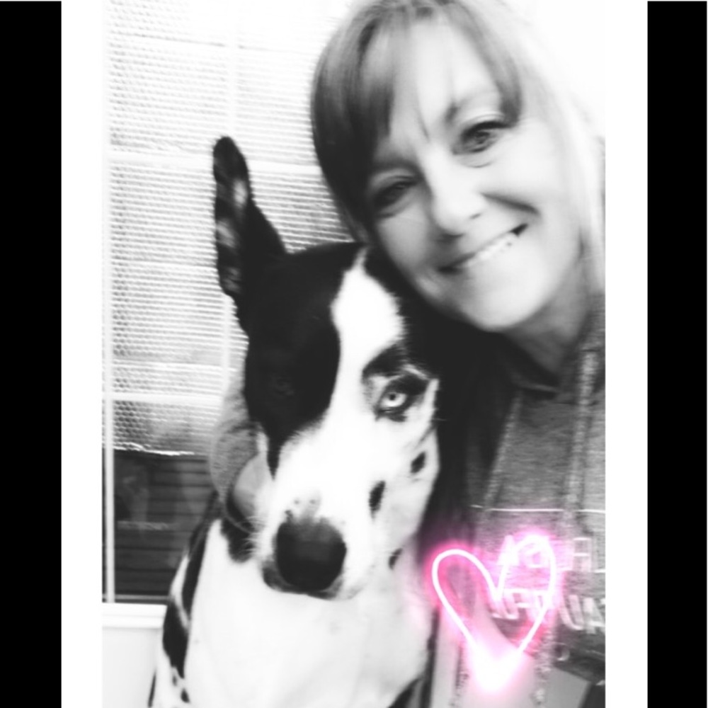 🇨🇦POSH 2 AMBASS SHELLEY !😁 - Picture 8 of 16